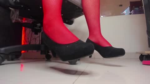  Lari online show from February 2025 08:54:02 AM