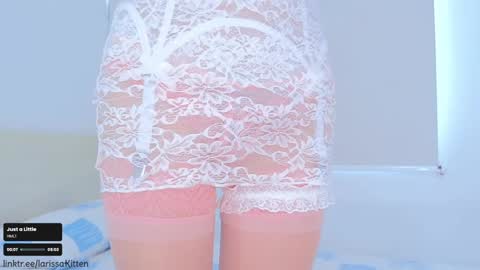 Snapshot of larissa_kitten chatting on January 2025 12:44:02 PM Larissa online show from January 2025 12:44:02 PM