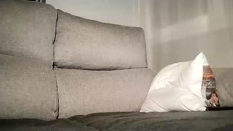 Snapshot of lascivo85 chatting on December 2024 04:58:01 PM Alessandro online show from December 2024 04:58:01 PM