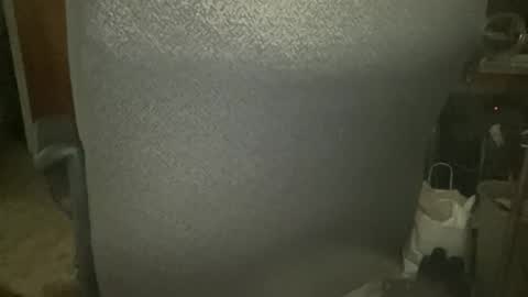 chris online show from February 2026 03:45:01 AM