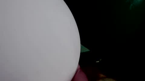 Snapshot of latexchris77 chatting on July 2026 07:05:02 PM latexchris77 online show from July 2026 07:05:02 PM