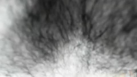 Zeus online show from February 2026 08:08:02 AM