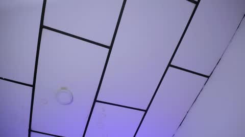 LAURA online show from December 2024 01:50:01 PM