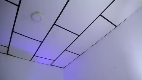 LAURA online show from January 2025 01:08:01 AM