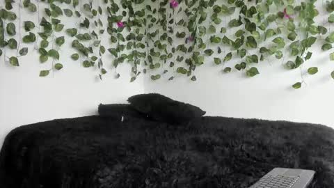 Snapshot of laurensmith9 chatting on March 2026 02:17:01 PM laurensmith9 online show from March 2026 02:17:01 PM