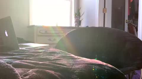 Laycee Layne online show from December 2025 08:38:02 PM