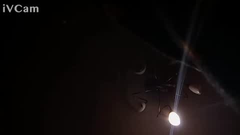 laydayy online show from January 2026 10:37:02 PM