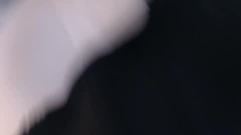 laylacruz online show from March 2025 09:53:01 AM