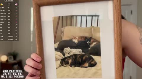 Snapshot of lazylittlething chatting on February 2026 07:42:02 PM Cece online show from February 2026 07:42:02 PM