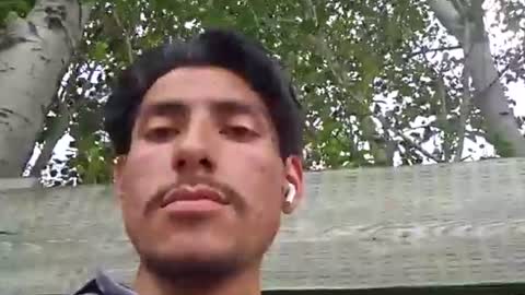 ldyd online show from June 2026 06:53:01 PM