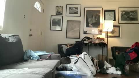 legallybrun91 online show from October 2025 06:51:01 PM