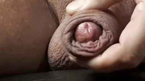 legofactory online show from February 2025 04:54:01 AM