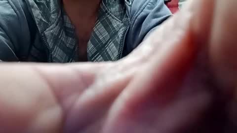 Snapshot of lelefiel chatting on December 2024 04:30:02 AM Pequeno Urso online show from December 2024 04:30:02 AM