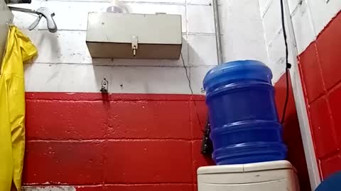 Snapshot of lelefiel chatting on January 2025 03:23:02 AM Pequeno Urso online show from January 2025 03:23:02 AM