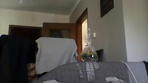 lelshop online show from December 2024 09:57:01 AM