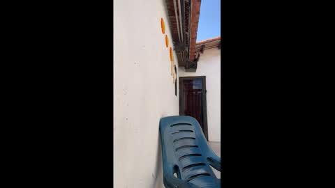 leo_latino1 online show from March 2026 06:56:01 PM