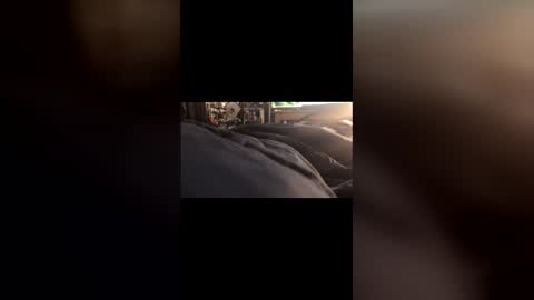 Leon online show from March 2026 07:05:01 PM