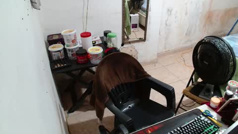 leonino231 online show from December 2025 04:06:02 AM