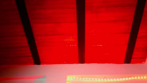 Lenardo jaramillo online show from December 2024 10:24:01 AM