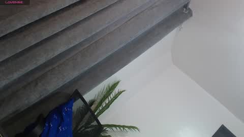 Trisha18 online show from January 2025 06:09:01 AM