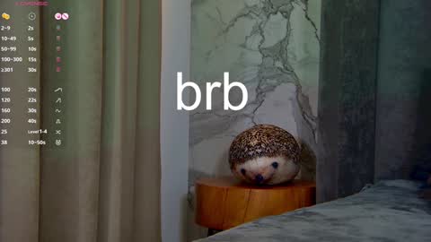 Snapshot of lesliemines chatting on January 2025 08:31:01 AM Leslie online show from January 2025 08:31:01 AM