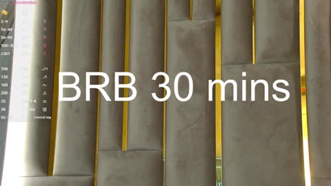 Snapshot of lesliemines chatting on January 2025 08:41:01 AM Leslie online show from January 2025 08:41:01 AM