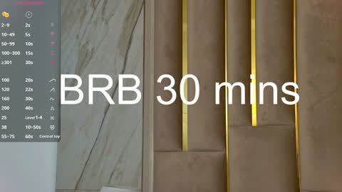 Snapshot of lesliemines chatting on January 2025 08:40:01 AM Leslie online show from January 2025 08:40:01 AM