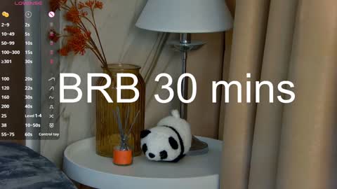 Snapshot of lesliemines chatting on January 2025 11:43:02 AM Leslie online show from January 2025 11:43:02 AM