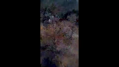 Snapshot of lestercameran80 chatting on June 2026 10:16:02 AM lestercameran80 online show from June 2026 10:16:02 AM