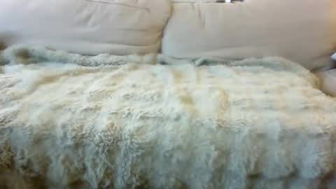 Snapshot of letsgobills chatting on April 2026 10:12:02 PM Bills Mafia online show from April 2026 10:12:02 PM