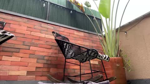 follow me  here you find me online show from March 2026 04:10:02 PM