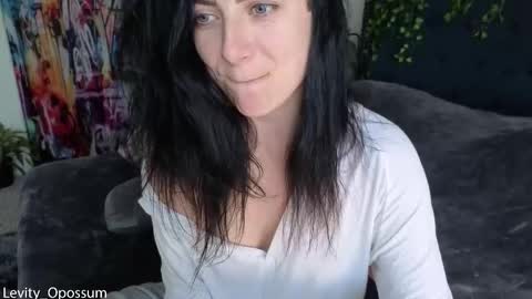 Levity online show from January 2026 07:40:01 PM