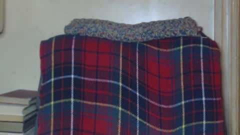 levon48 online show from December 2024 01:28:02 AM