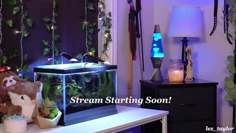 Snapshot of lex_taylor chatting on January 2025 03:46:01 AM Lex online show from January 2025 03:46:01 AM