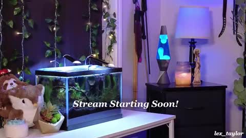 Snapshot of lex_taylor chatting on February 2025 04:37:01 PM Lex online show from February 2025 04:37:01 PM