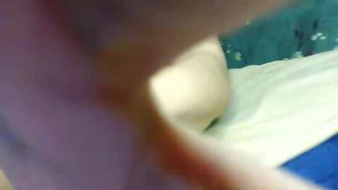 lexianna online show from December 2024 03:15:01 AM