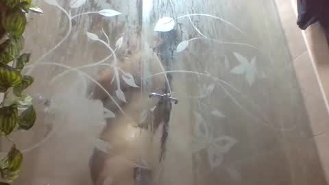 leyla_horny_bg online show from December 2025 09:56:01 PM