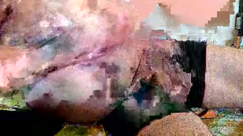 lickingover online show from April 2026 11:32:01 AM