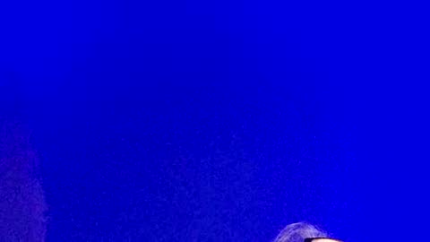 Snapshot of lickyouryoni chatting on February 2025 03:08:01 PM LickYourYoni online show from February 2025 03:08:01 PM