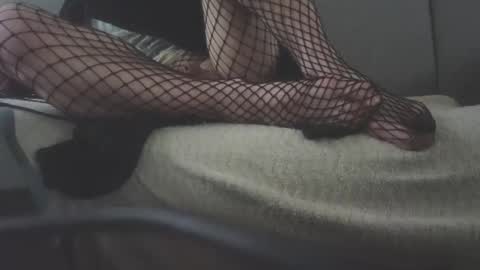 lifebelikee online show from February 2026 02:04:02 PM