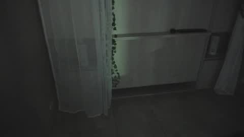         online show from December 2025 11:37:02 AM