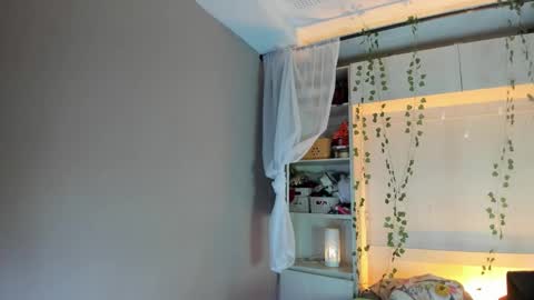         online show from February 2026 11:40:01 AM