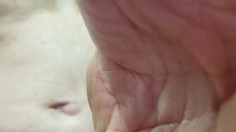 Snapshot of like_fun_ chatting on April 2026 05:51:02 AM like_fun_ online show from April 2026 05:51:02 AM