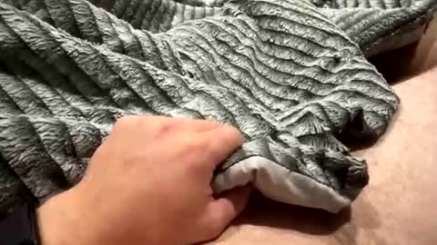 likeaboss820 online show from October 2025 02:03:02 AM