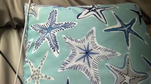 likefhot online show from November 2025 05:02:01 AM