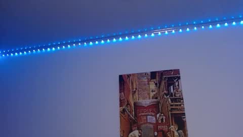 Lisaa online show from December 2024 09:50:02 AM