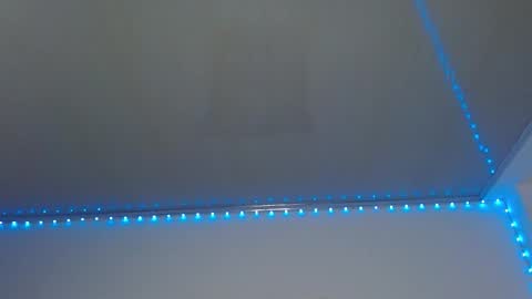 Lisaa online show from January 2025 08:45:01 AM