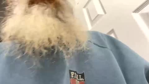 Snapshot of lilchaps69 chatting on February 2026 05:46:02 AM lilchaps69 online show from February 2026 05:46:02 AM