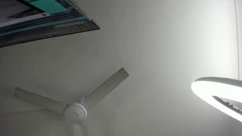 Snapshot of lilith_and_marcusblain chatting on January 2025 08:22:01 PM Lili Marcus online show from January 2025 08:22:01 PM