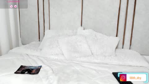 Snapshot of lilith_dry chatting on September 2025 02:11:01 PM lilith_dry online show from September 2025 02:11:01 PM